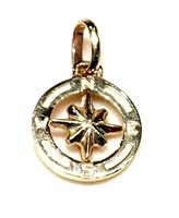 Anhänger Herr 9KT in Gelbgold 9K ROSA DEI VENTI MB DD/Z 1.10 Sommer G